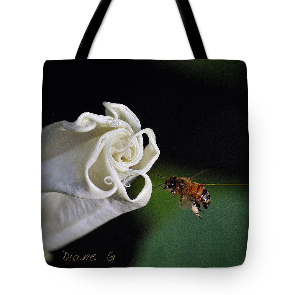 Angel Trumpet Tote Bag featuring the photograph Angel Trumpet by Diane Giurco