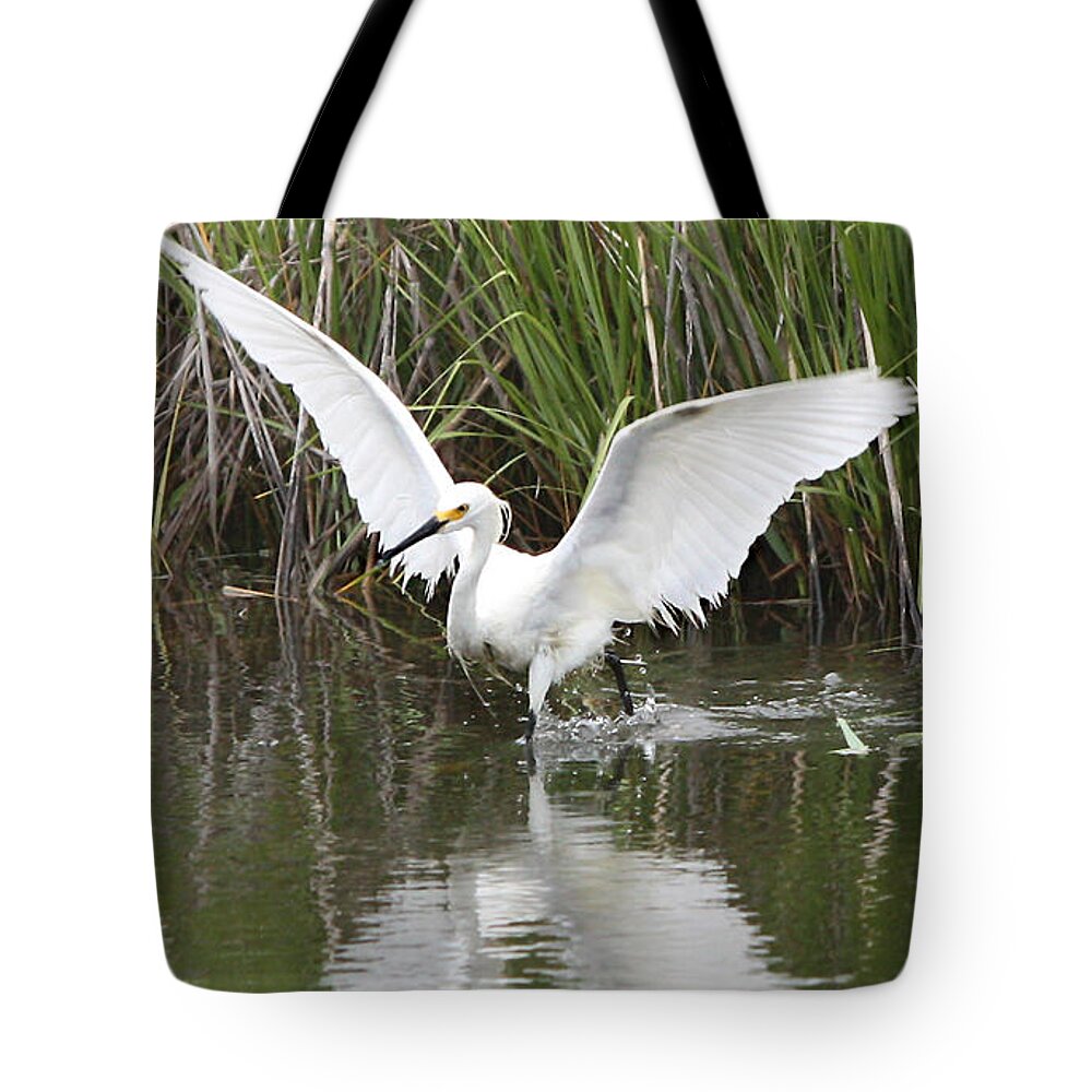 Snowy Egret Tote Bag featuring the photograph Angel Wings by Captain Debbie Ritter