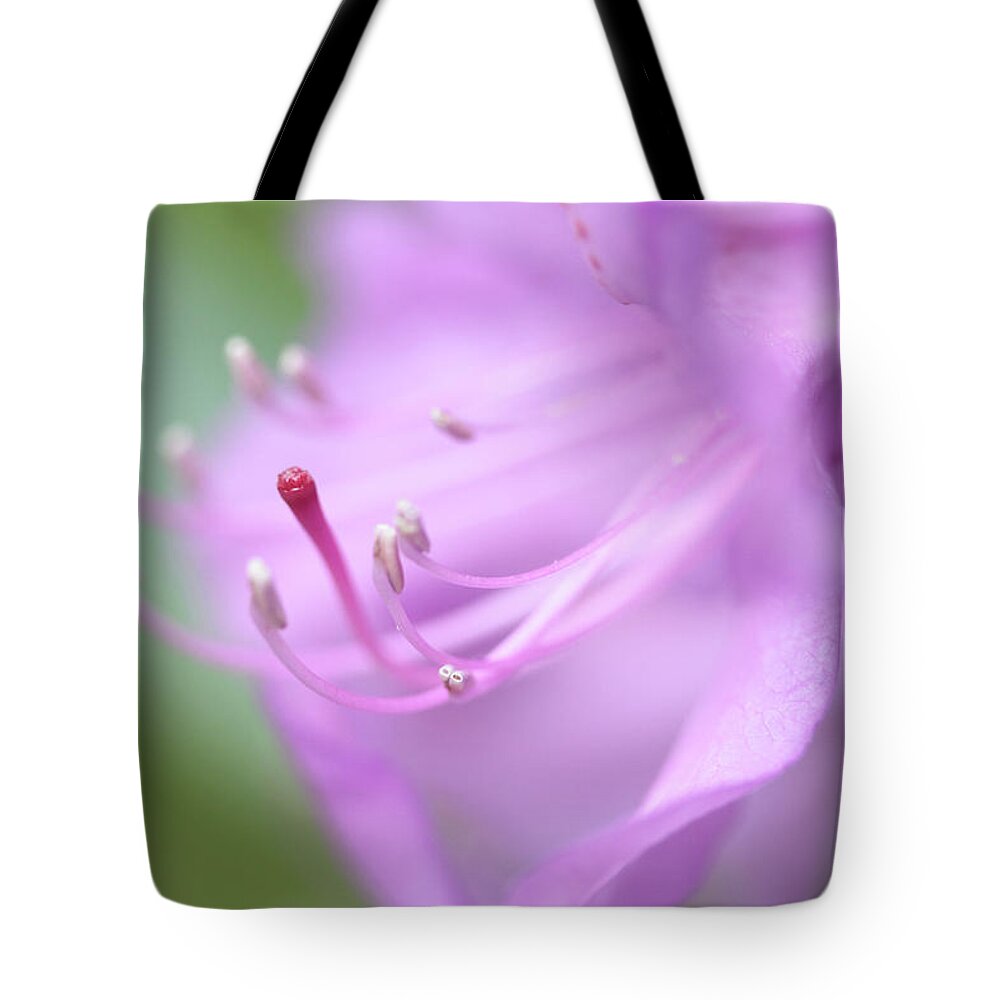 Connie Handscomb Tote Bag featuring the photograph Angelic Message by Connie Handscomb