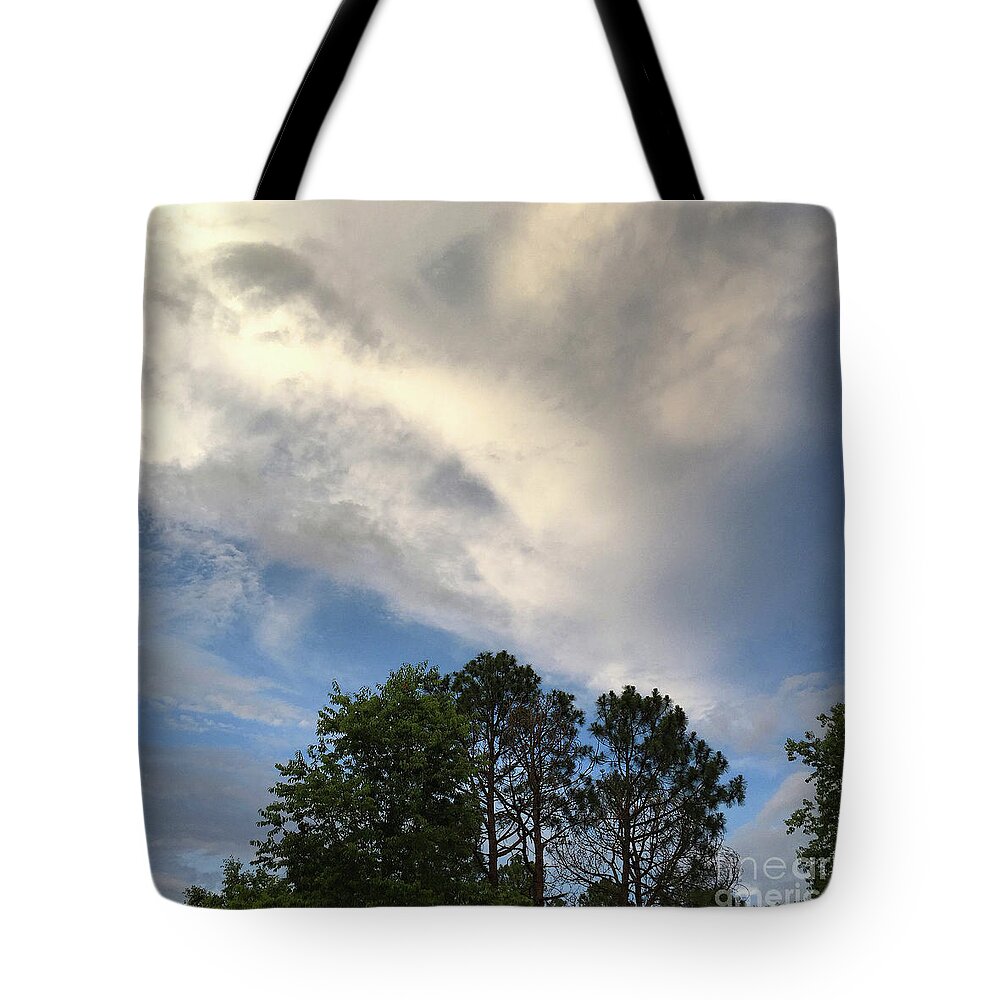 Angels Tote Bag featuring the photograph Angels over the House by Matthew Seufer