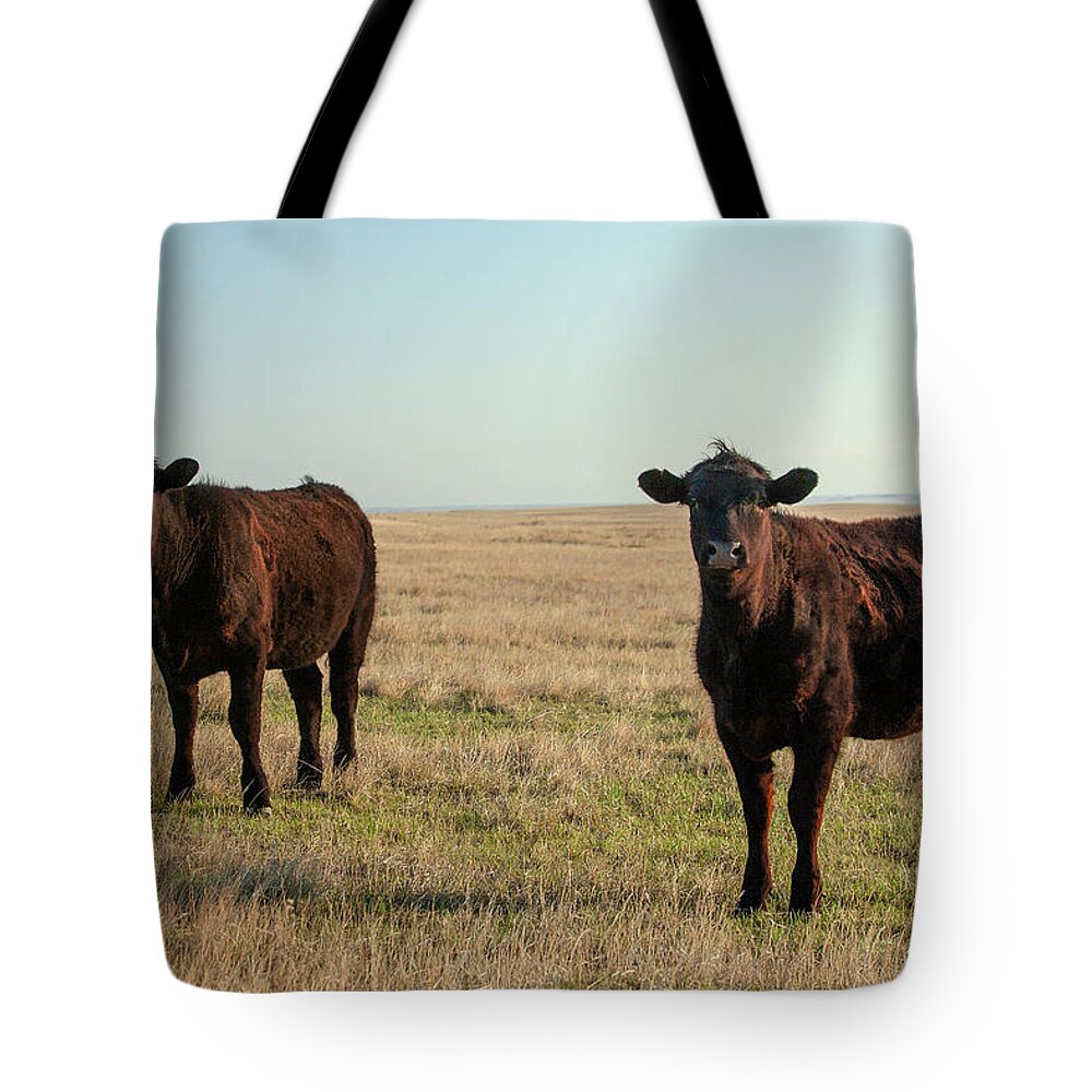 Kremlin Tote Bag featuring the photograph Angus Alerted by Todd Klassy