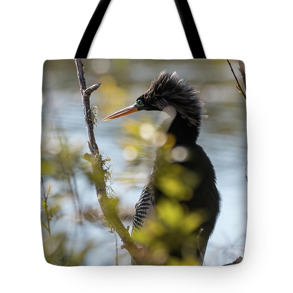 Anhinga Tote Bag featuring the photograph Anhinga 3 March 2018 by D K Wall