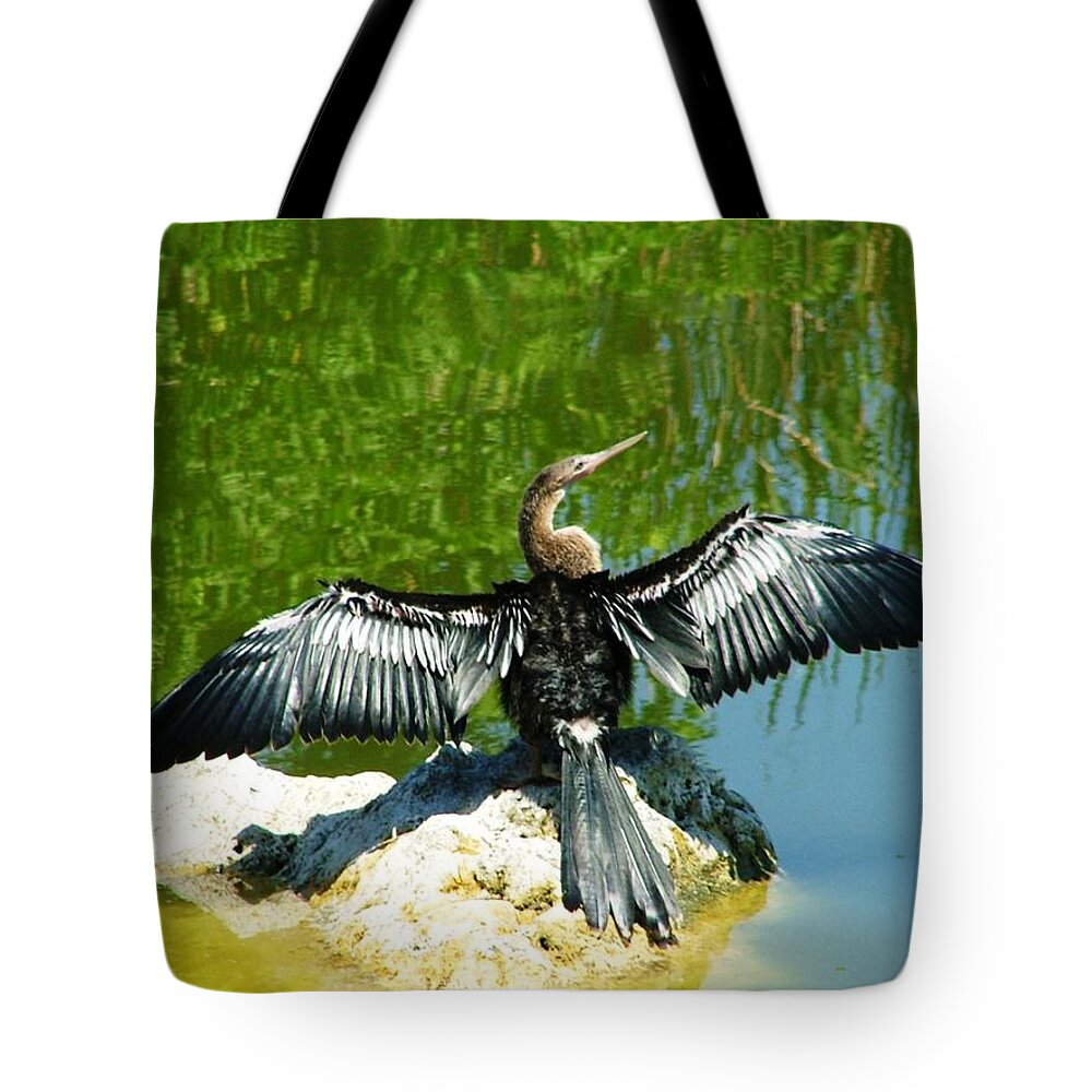 Water Bird Tote Bag featuring the photograph Anhinga Sunning by Carol Allen Anfinsen