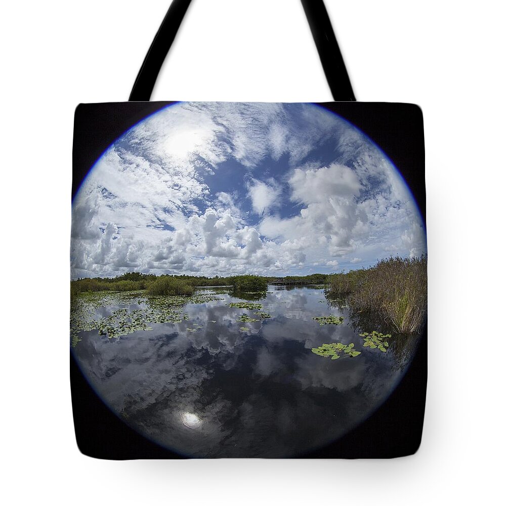 Fisheye Tote Bag featuring the photograph Anhinga Trail 86 by Michael Fryd