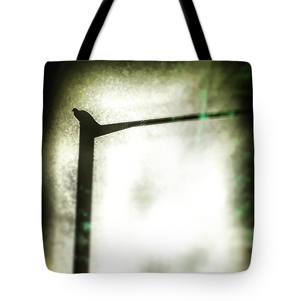 Cute Tote Bag featuring the photograph #animals #animal #tagsforlikes.com by Jason Roust