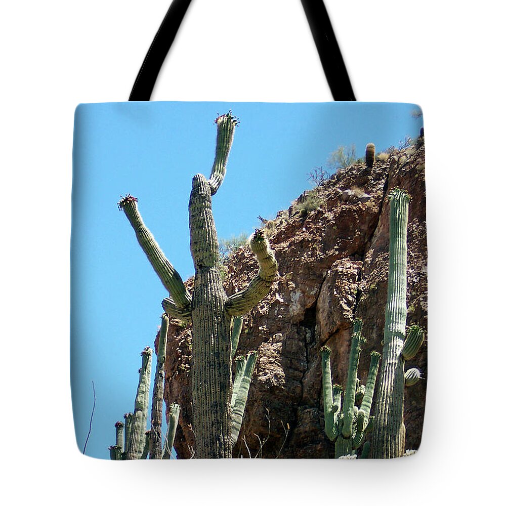Cactus Tote Bag featuring the photograph Animated Southwest Cactus 1 by Ilia -