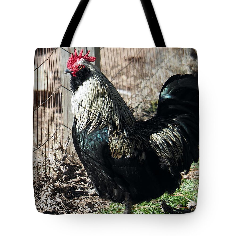 Rooster Tote Bag featuring the photograph Ann's Rooster by Jerry Connally