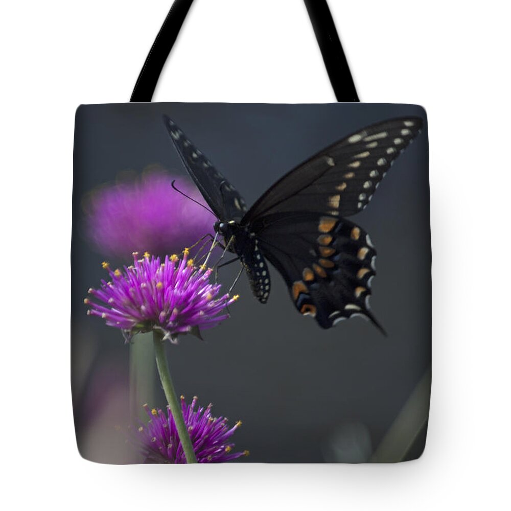 Photograph Tote Bag featuring the photograph Another Day in Paradise Series I by Suzanne Gaff