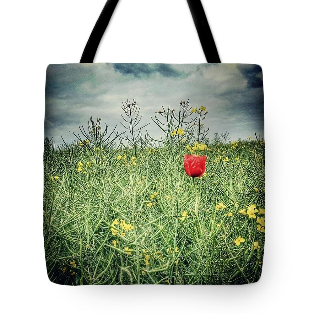 Beautiful Tote Bag featuring the photograph Another Wet Summer's Day by Vicki Field