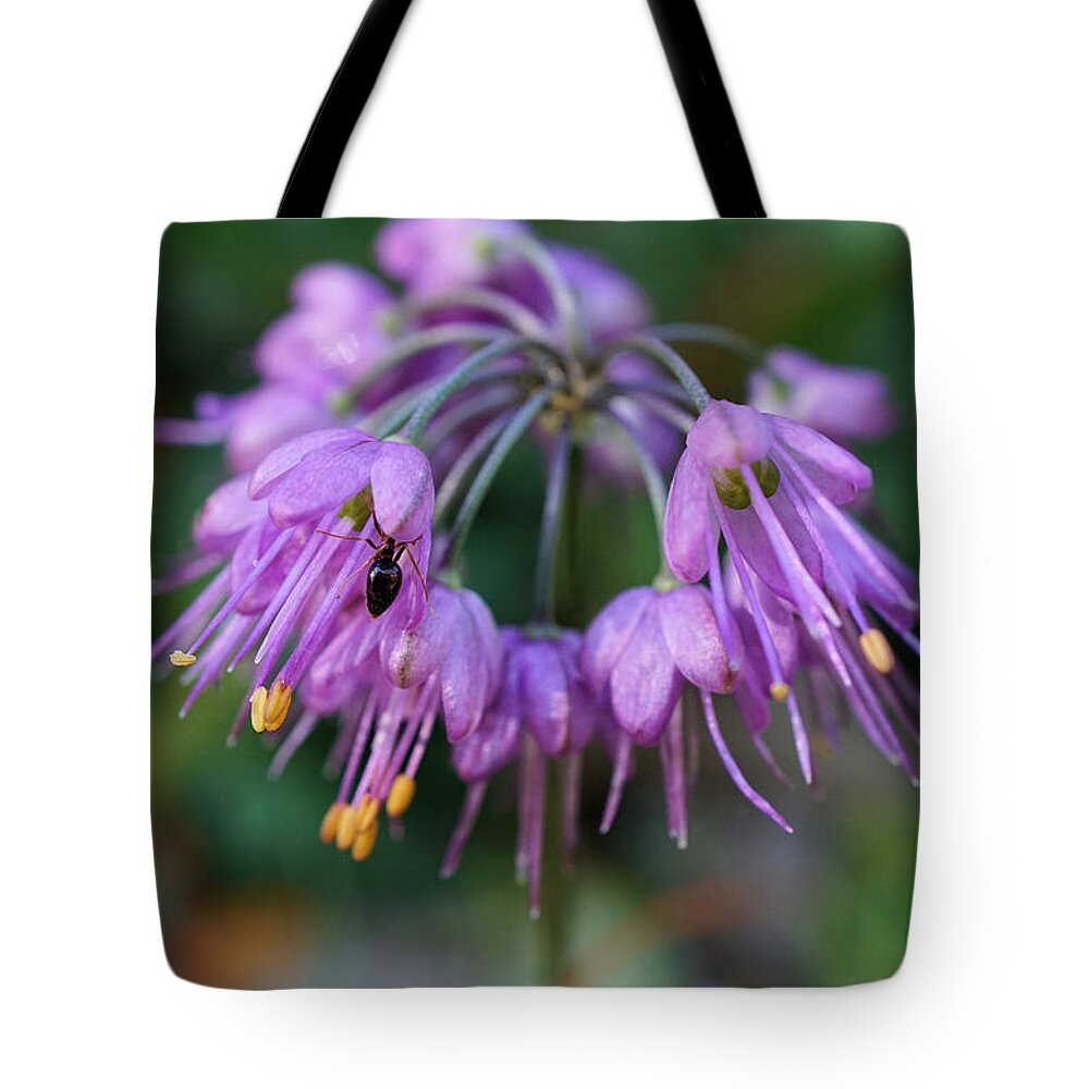Ant Tote Bag featuring the photograph Ant hiding inside purple flower by Lilia S