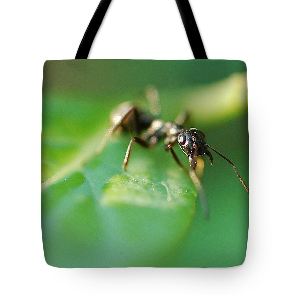 Ant Tote Bag featuring the digital art Ant by Super Lovely
