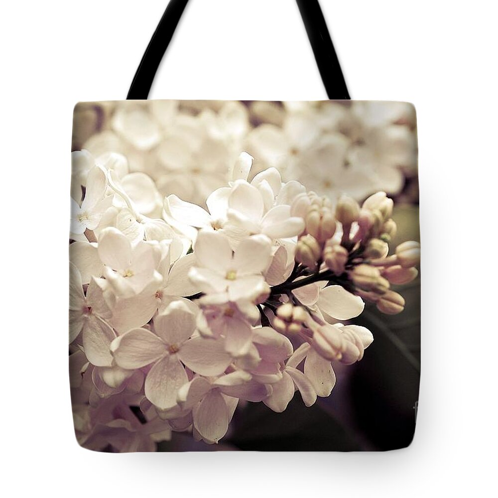 Flowers Tote Bag featuring the photograph Antique Lilacs by Elaine Manley