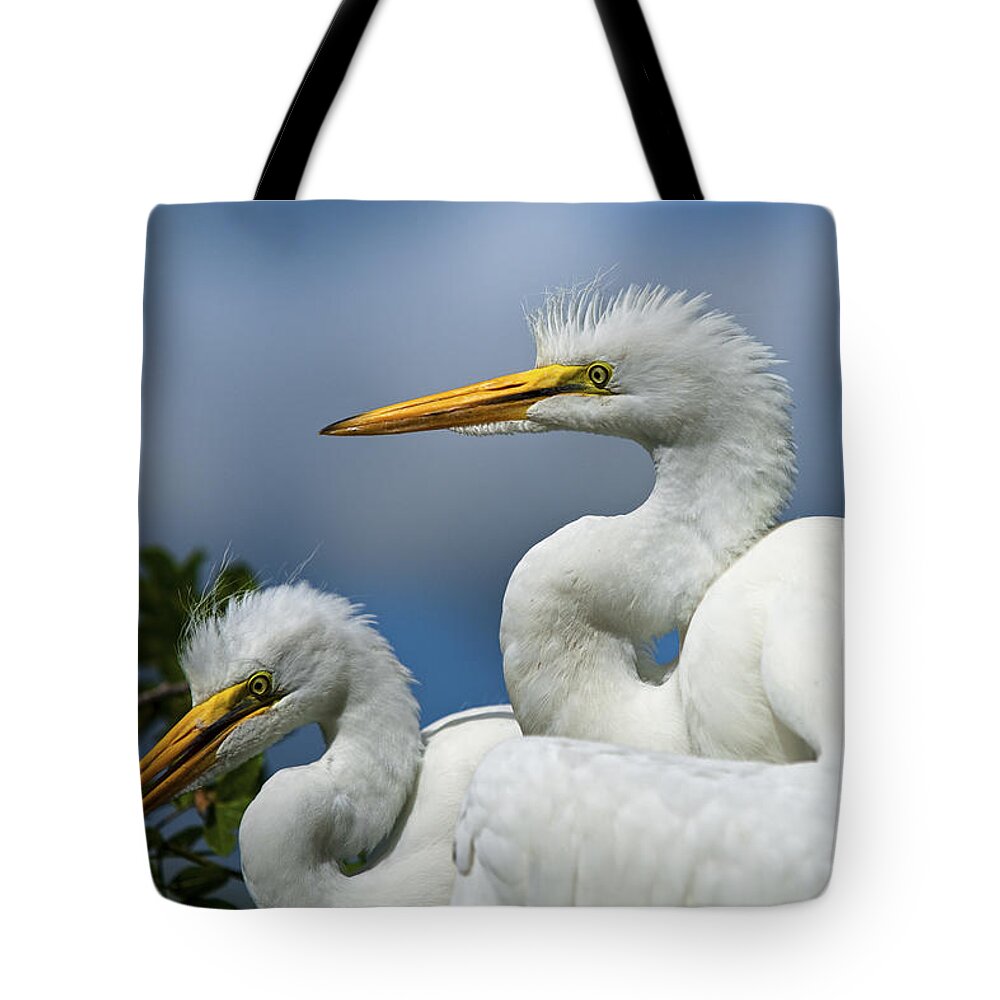 Egret Tote Bag featuring the photograph Anxiously Waiting by Christopher Holmes