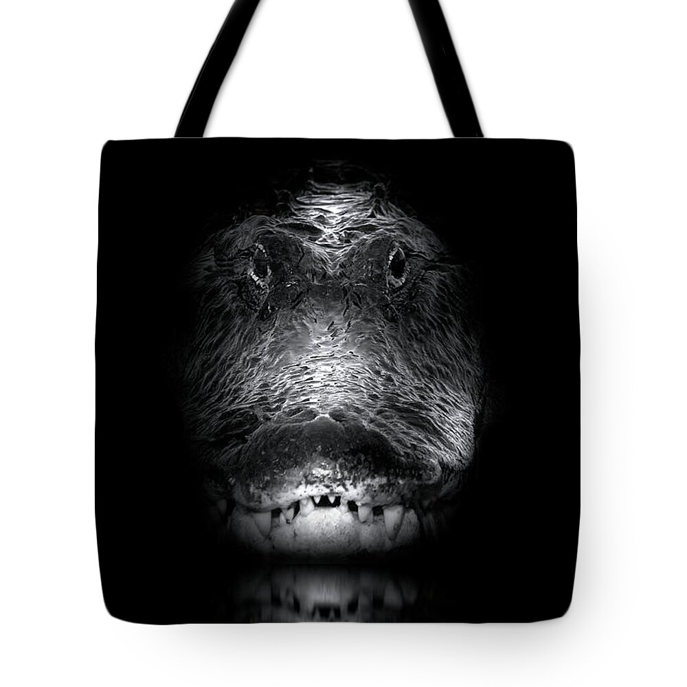 Alligator Tote Bag featuring the photograph Apex by Mark Andrew Thomas