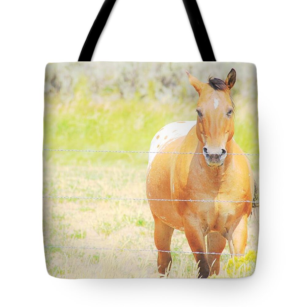 Horse Tote Bag featuring the photograph Appaloosa by Merle Grenz