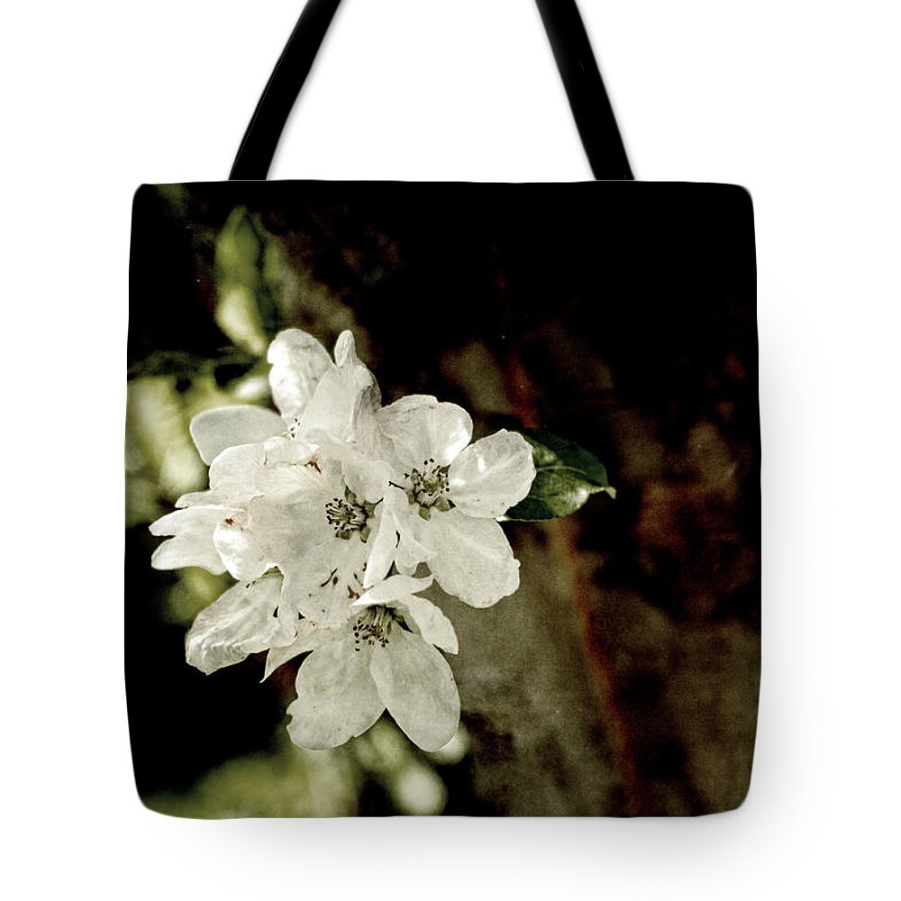 Apple Blossom Tote Bag featuring the photograph Apple Blossom Paper by Sharon Popek