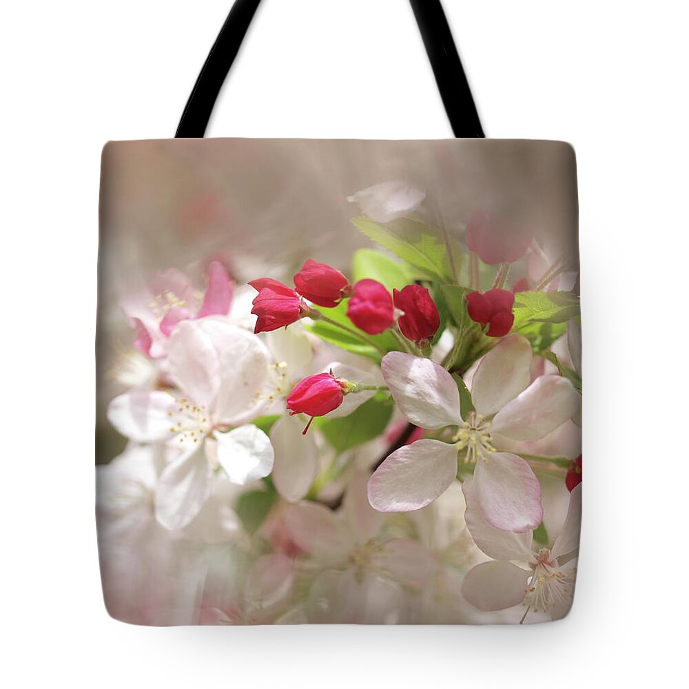 Apple Buds Tote Bag featuring the photograph Apple Buds by Evelyn Tambour