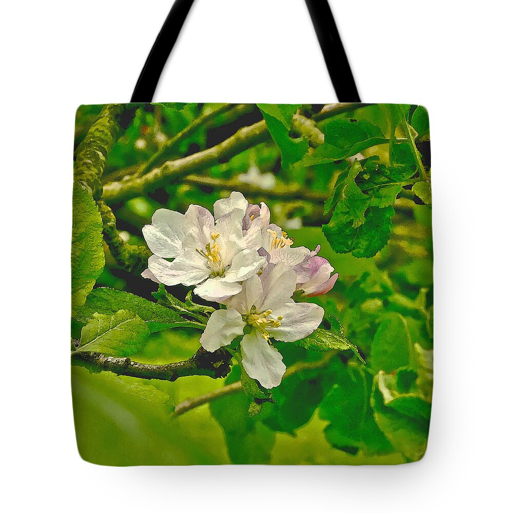 Apple Flowers Tote Bag featuring the photograph Apple Flowers. by Elena Perelman