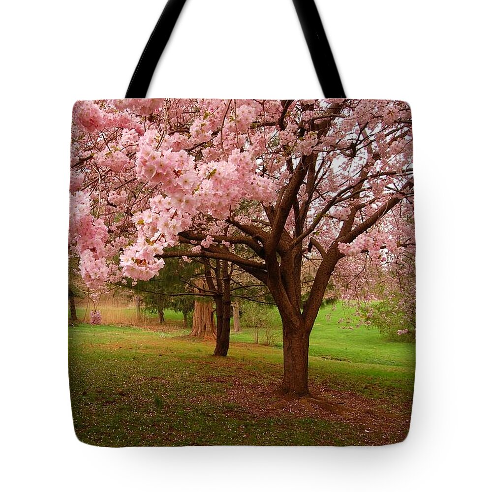 Cherry Blossoms Tote Bag featuring the photograph Approach Me - Holmdel Park by Angie Tirado