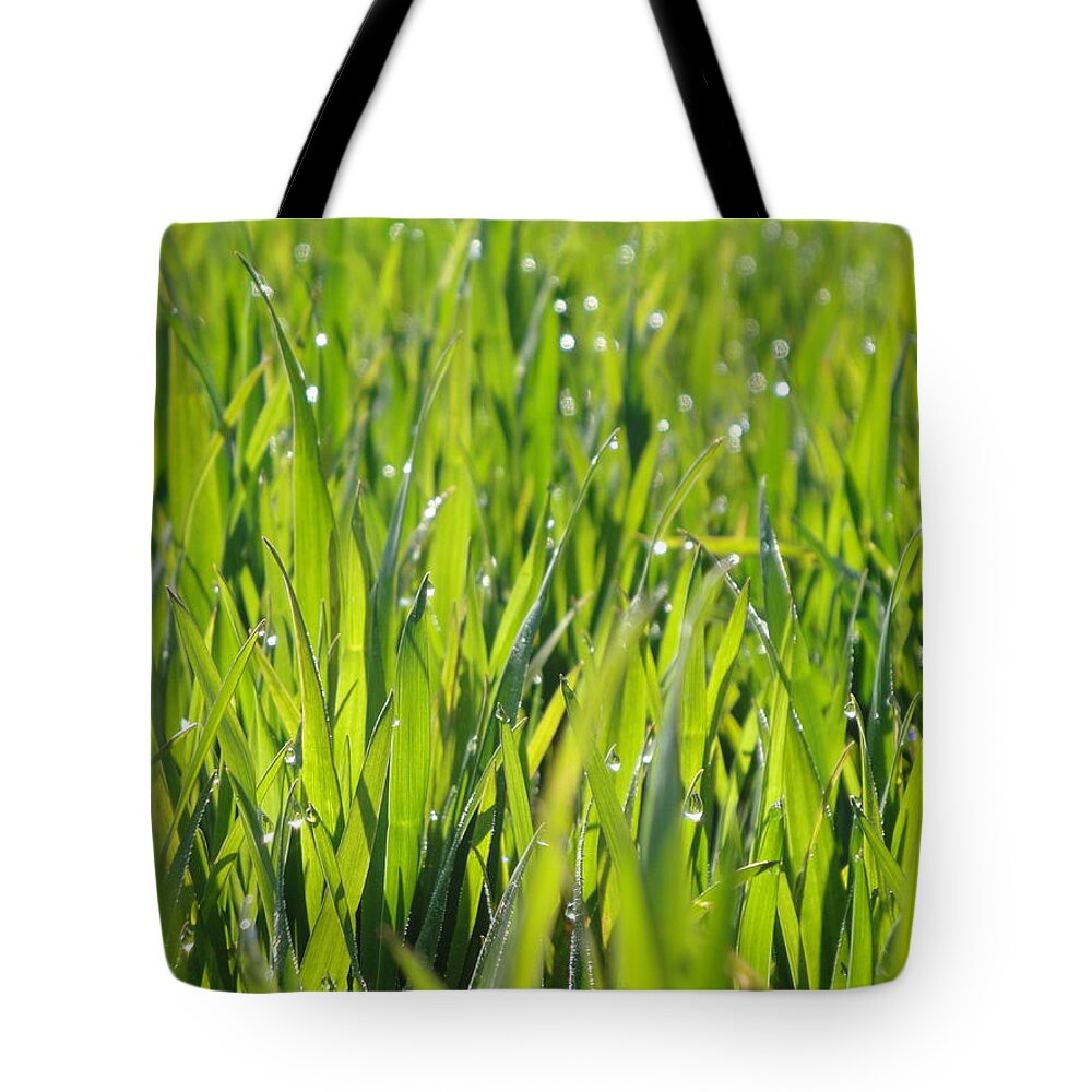 Dew Tote Bag featuring the photograph April dewdrop fairylights by Susan Baker