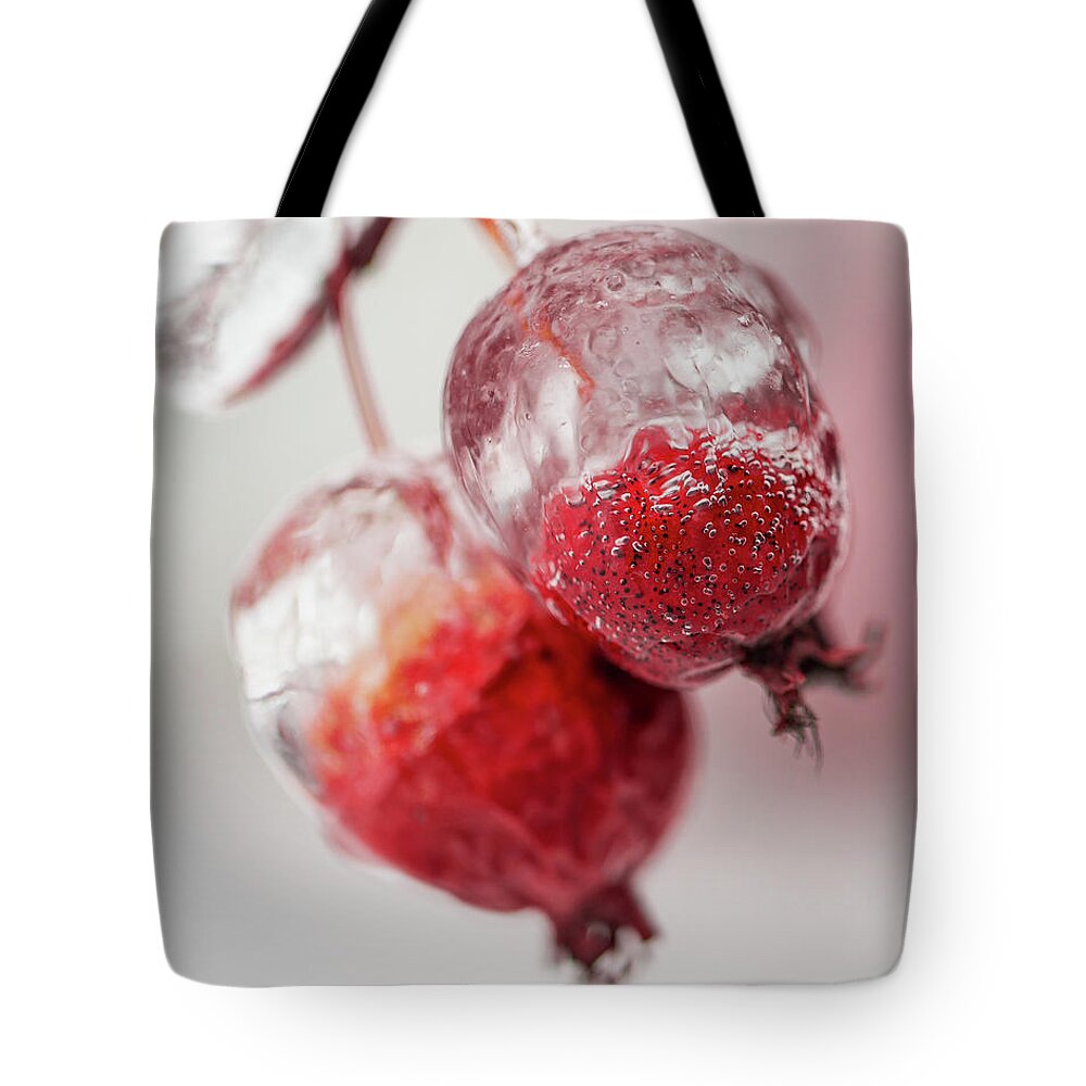 Awakening Tote Bag featuring the photograph April Ice Storm Apples by Jakub Sisak
