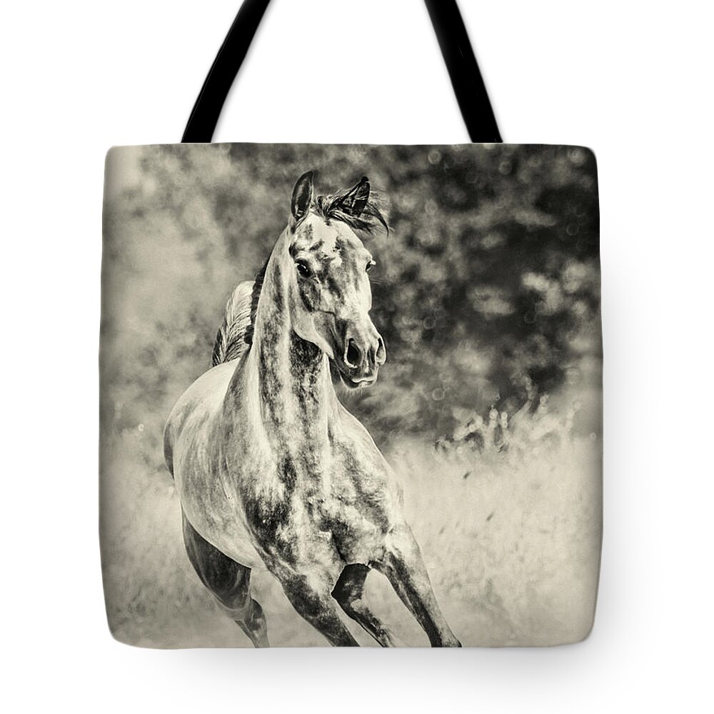 Horse Tote Bag featuring the photograph Arabian horse running on sunny meadow by Dimitar Hristov