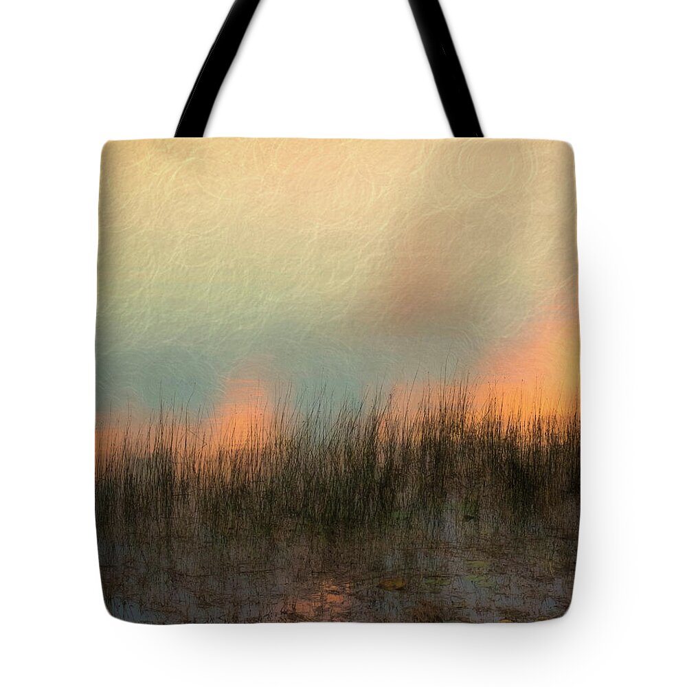  Tote Bag featuring the photograph Araoaba by Hugh Walker