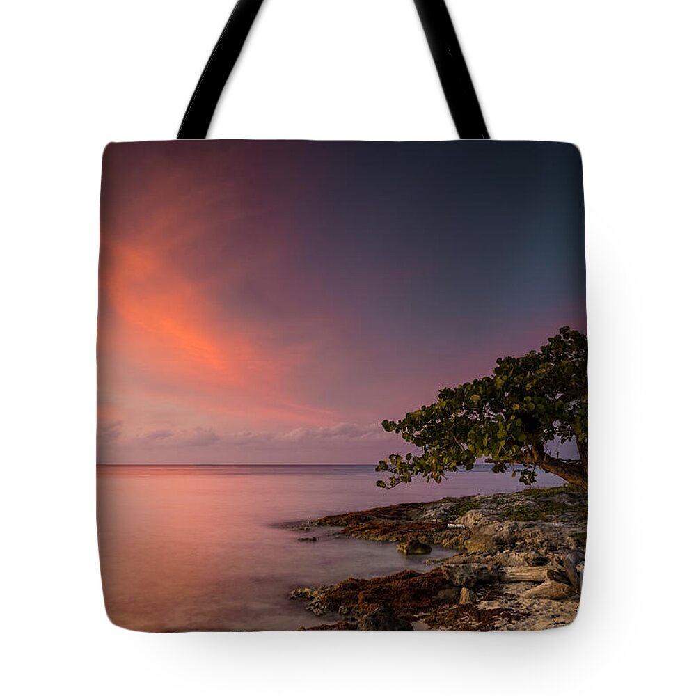 Beach Tote Bag featuring the photograph Arbol Solitario by Carrie Cole