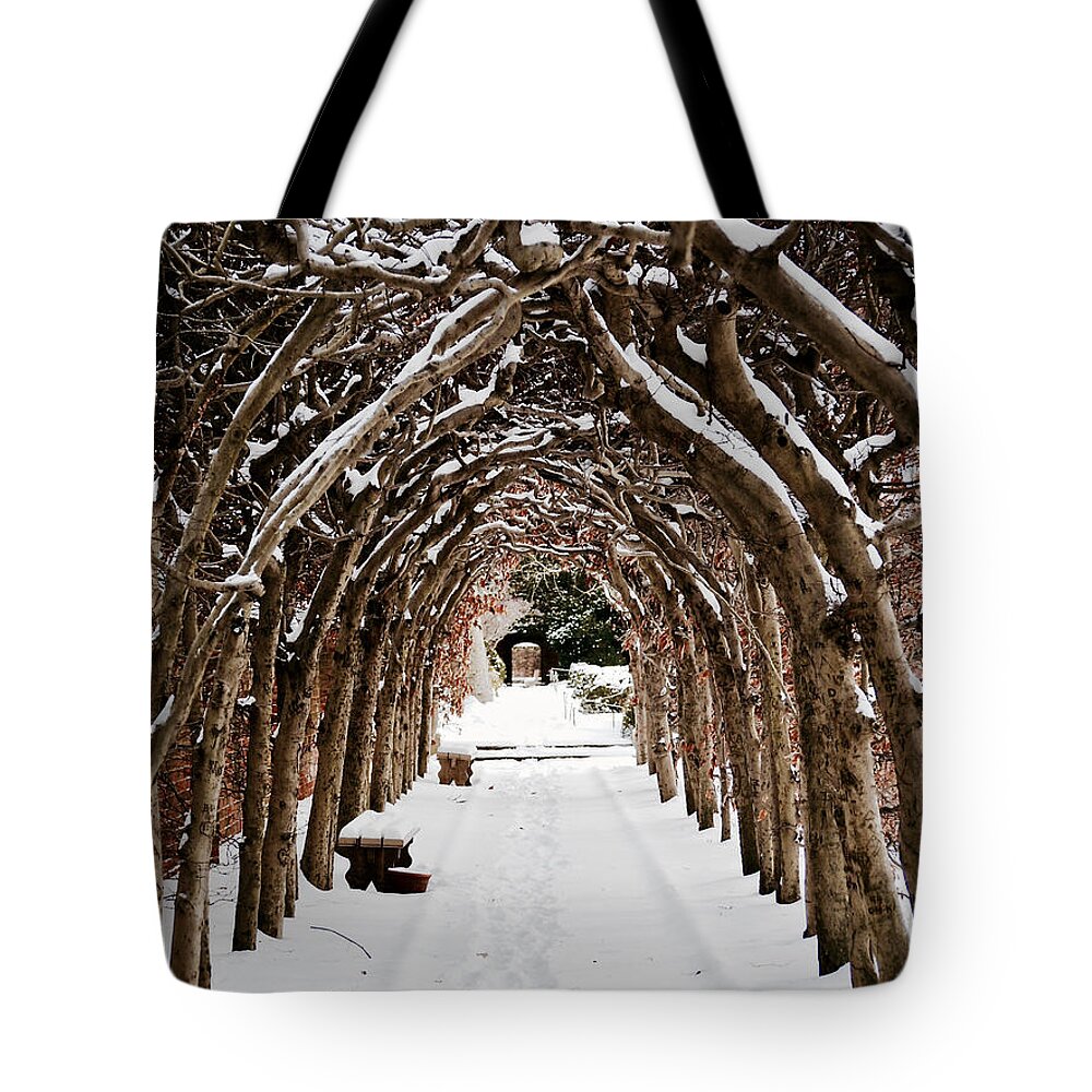 Arbor Tote Bag featuring the photograph Arbor in the Snow by Rachel Morrison