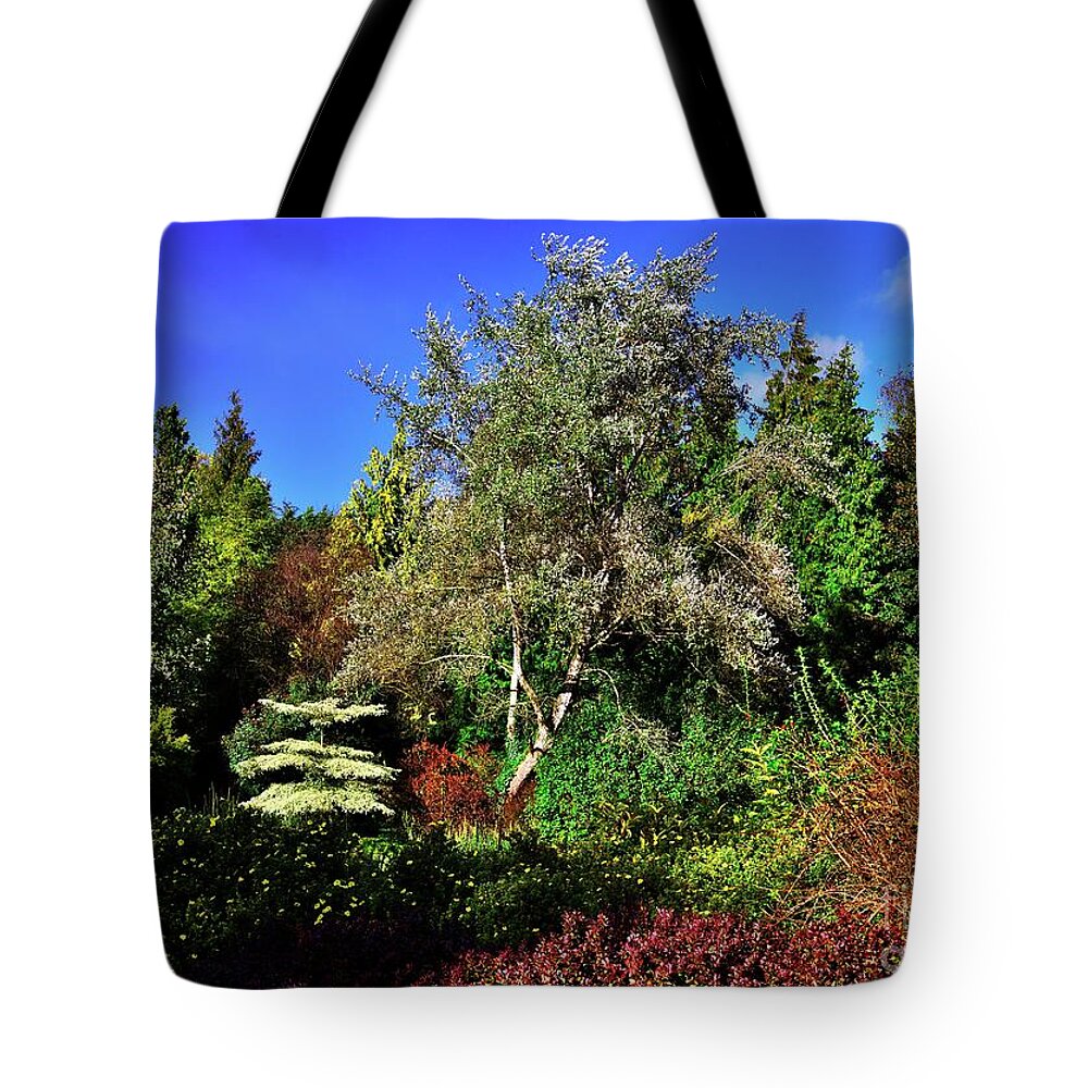 Autumn Colors Tote Bag featuring the photograph Arboretum Autumn Colors by Martyn Arnold