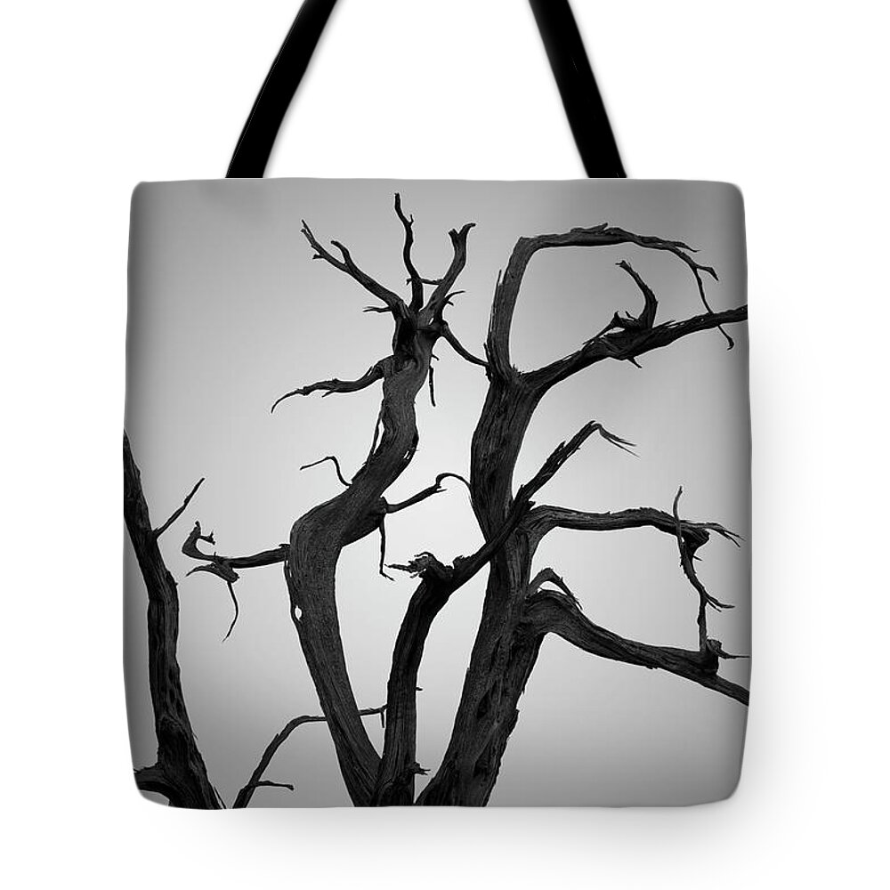 Arches Tote Bag featuring the photograph Arches NP XIX BW by David Gordon