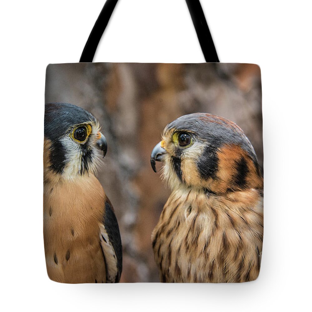 Kestrels Tote Bag featuring the photograph Are You Talking to Me? by John Greco