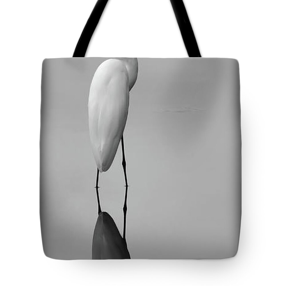 Argent Mirror Tote Bag featuring the photograph Argent Mirror Black and White by Paul Rebmann