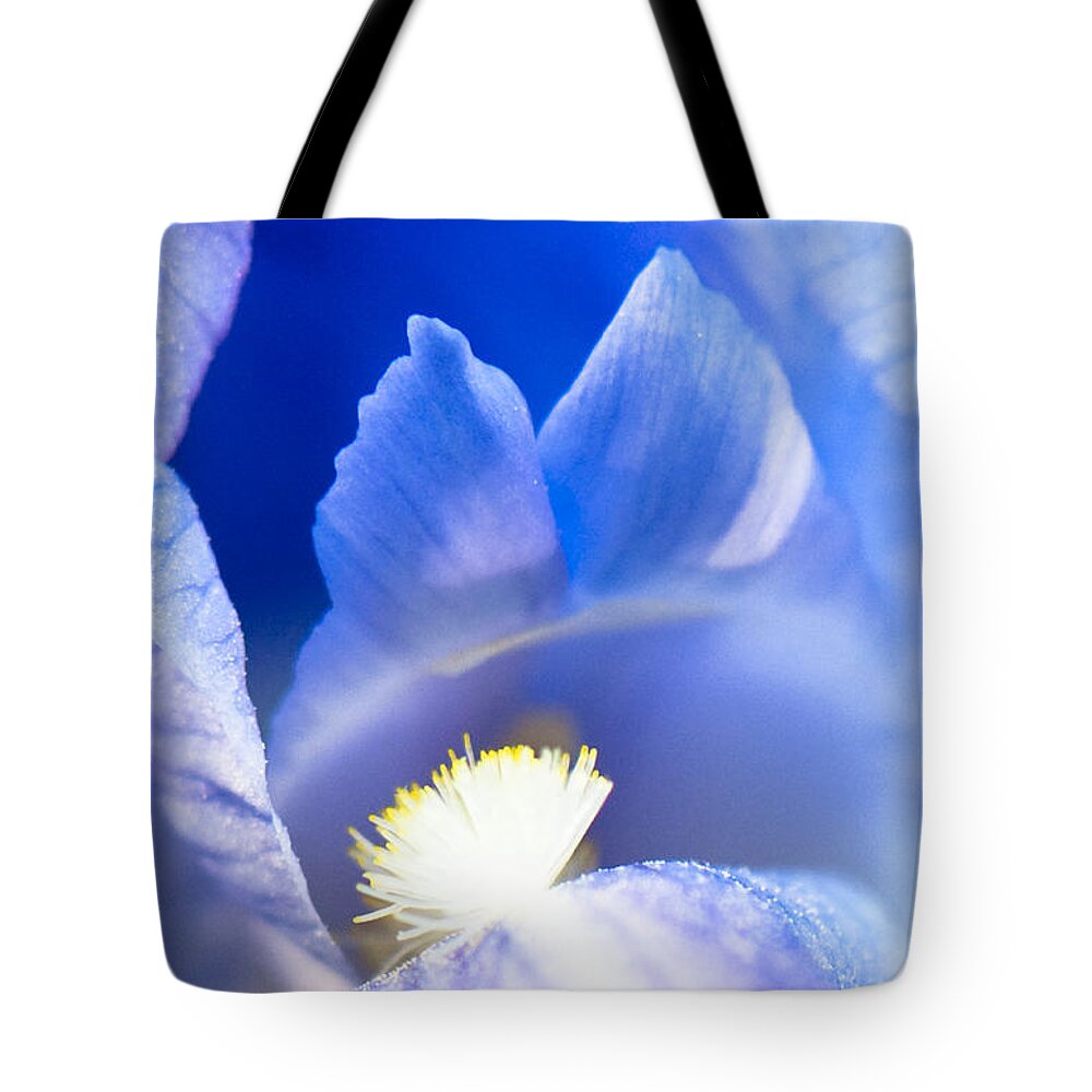 Photography Tote Bag featuring the photograph Aria by Steven Natanson