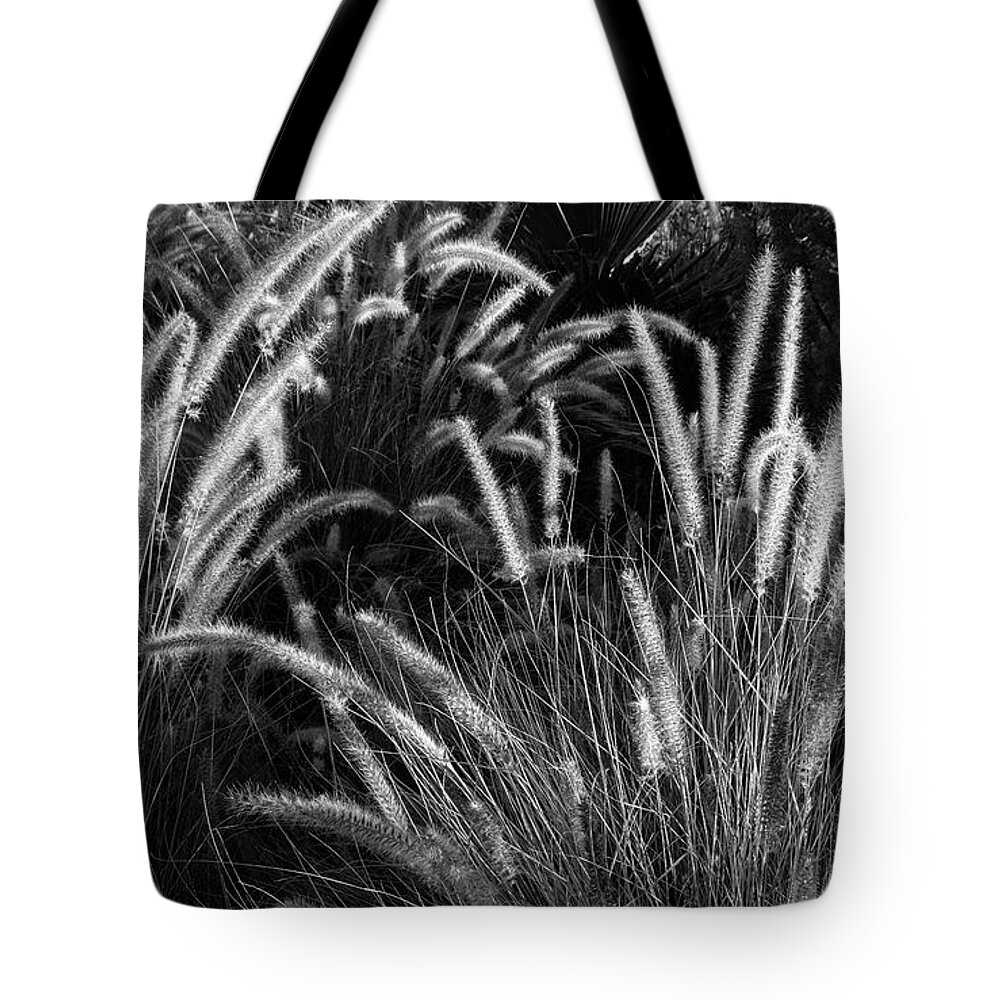 Nature Tote Bag featuring the photograph Arizona Desert Grasses by Glenn DiPaola