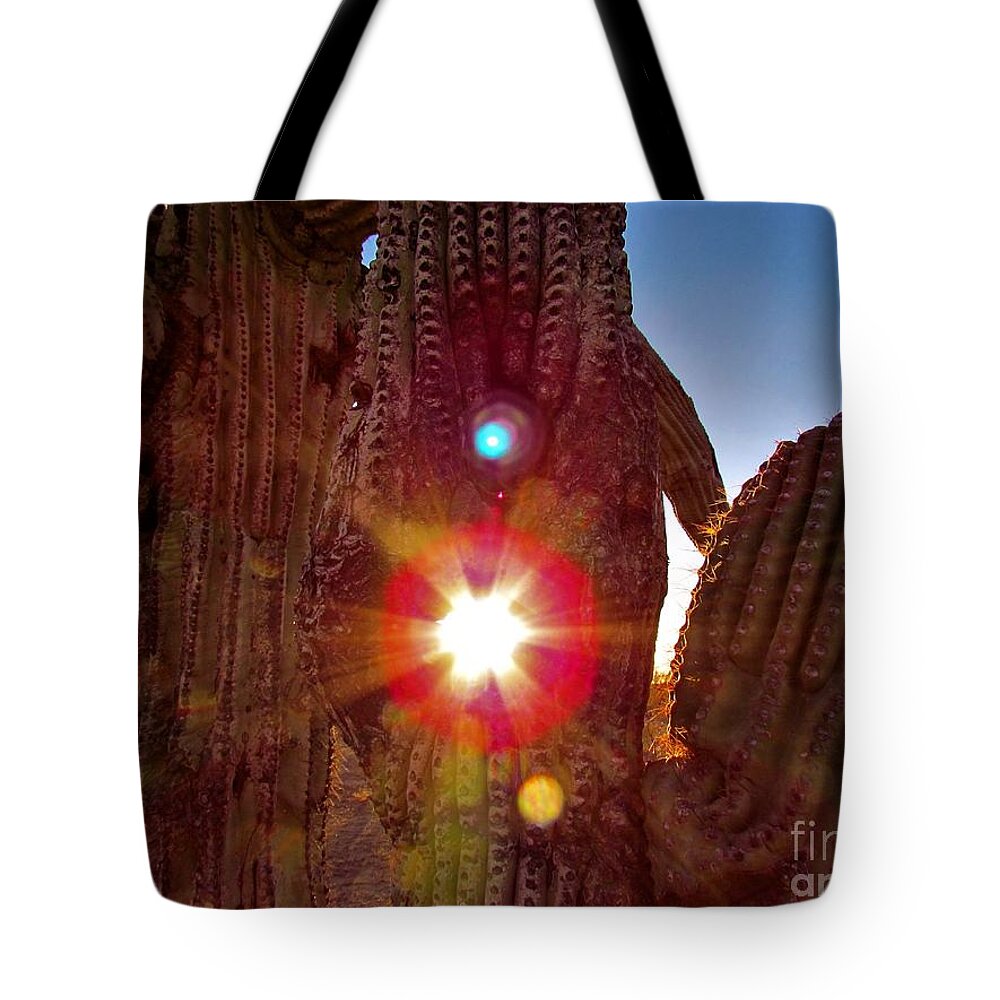 Photograph Tote Bag featuring the photograph Arizona Prime Cactus Sunset by Delynn Addams