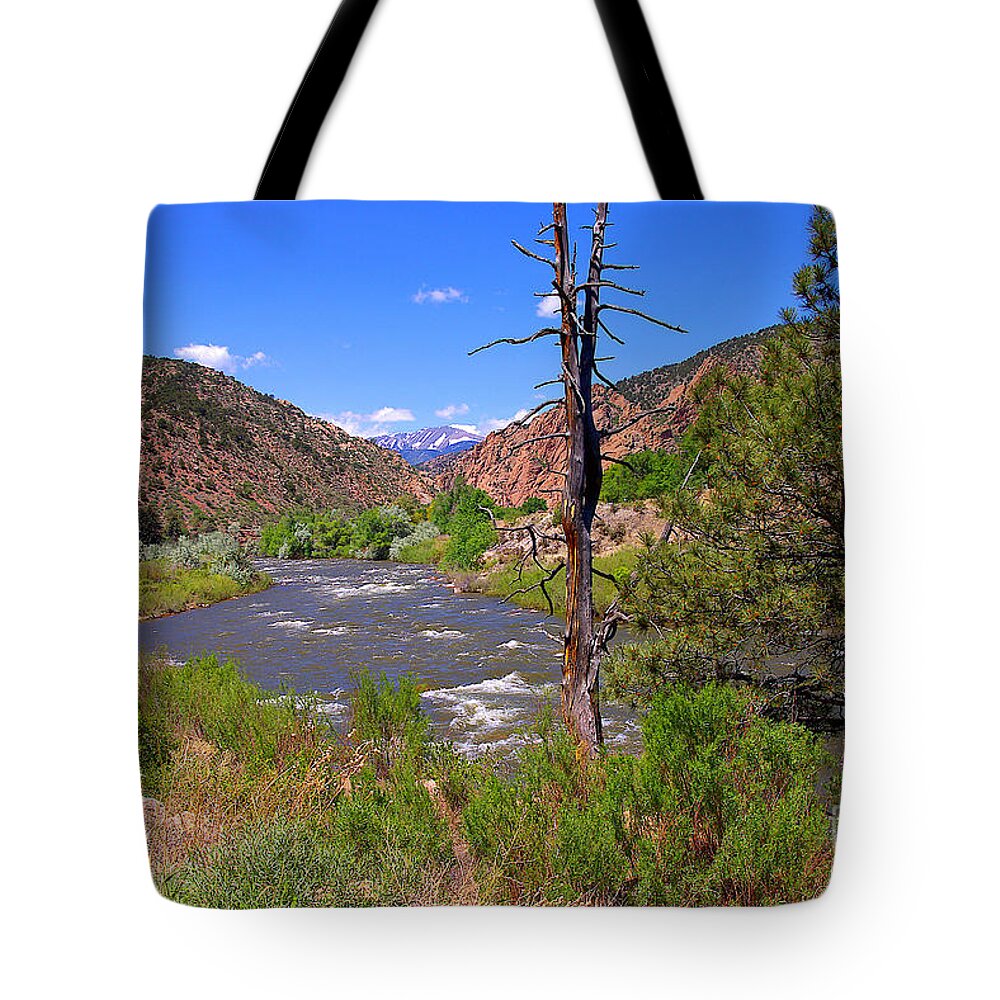 Colorado Tote Bag featuring the photograph Arkansas River Near Salada Colorado by Rich Walter