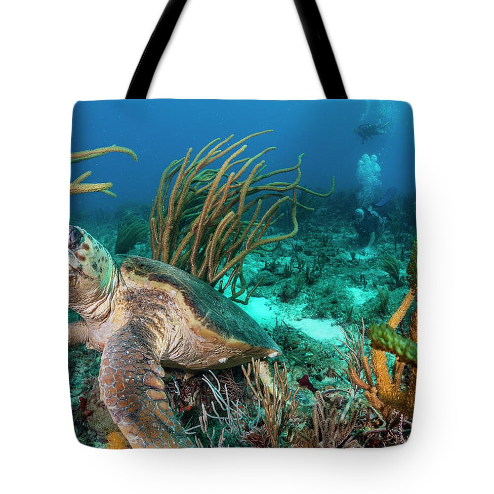 Scene Tote Bag featuring the photograph Around Me by Sandra Edwards