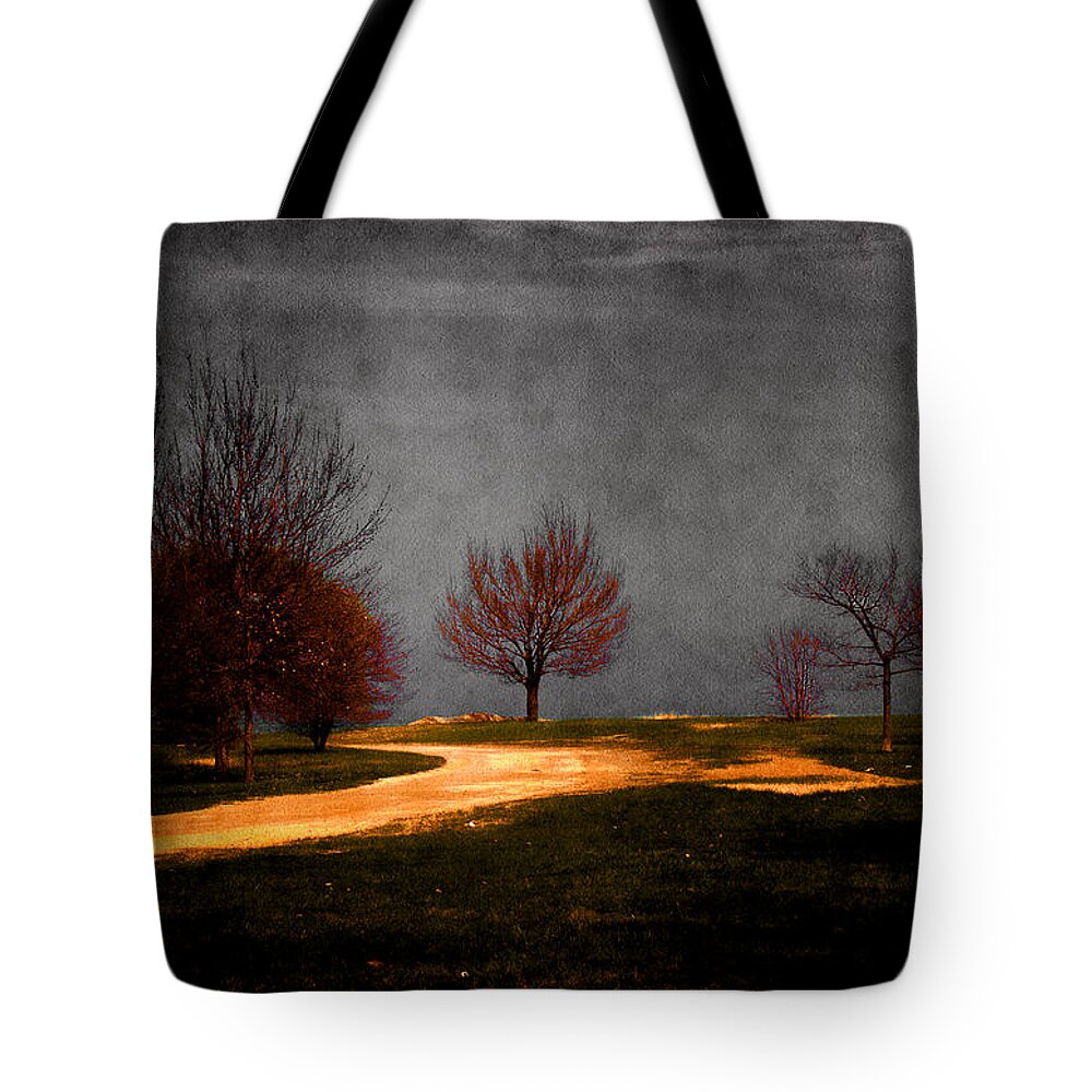 Dark Tones Tote Bag featuring the photograph Art in the Park by Milena Ilieva