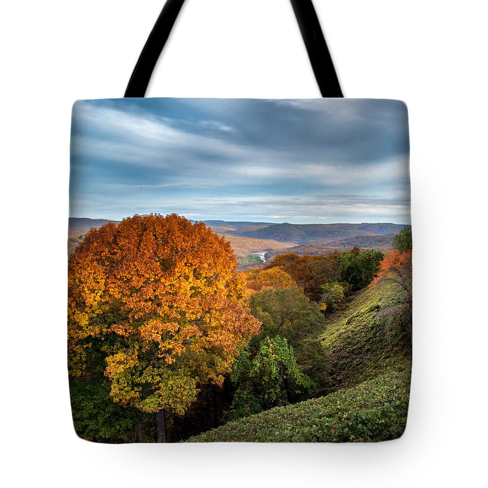 Arkansas Tote Bag featuring the photograph Artist Point by James Barber