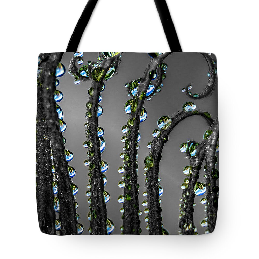 Plant Tote Bag featuring the photograph Artsy drops by Wolfgang Stocker