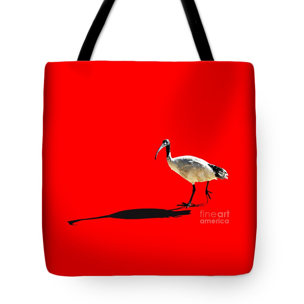 Susan Vineyard Tote Bag featuring the photograph Bribie Island Ibis by Susan Vineyard