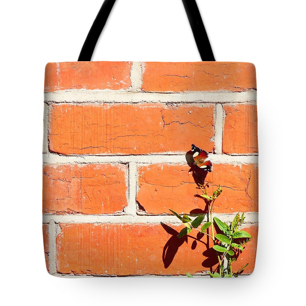 High-res Tote Bag featuring the photograph The poetry of ordinary things by Ivana Westin