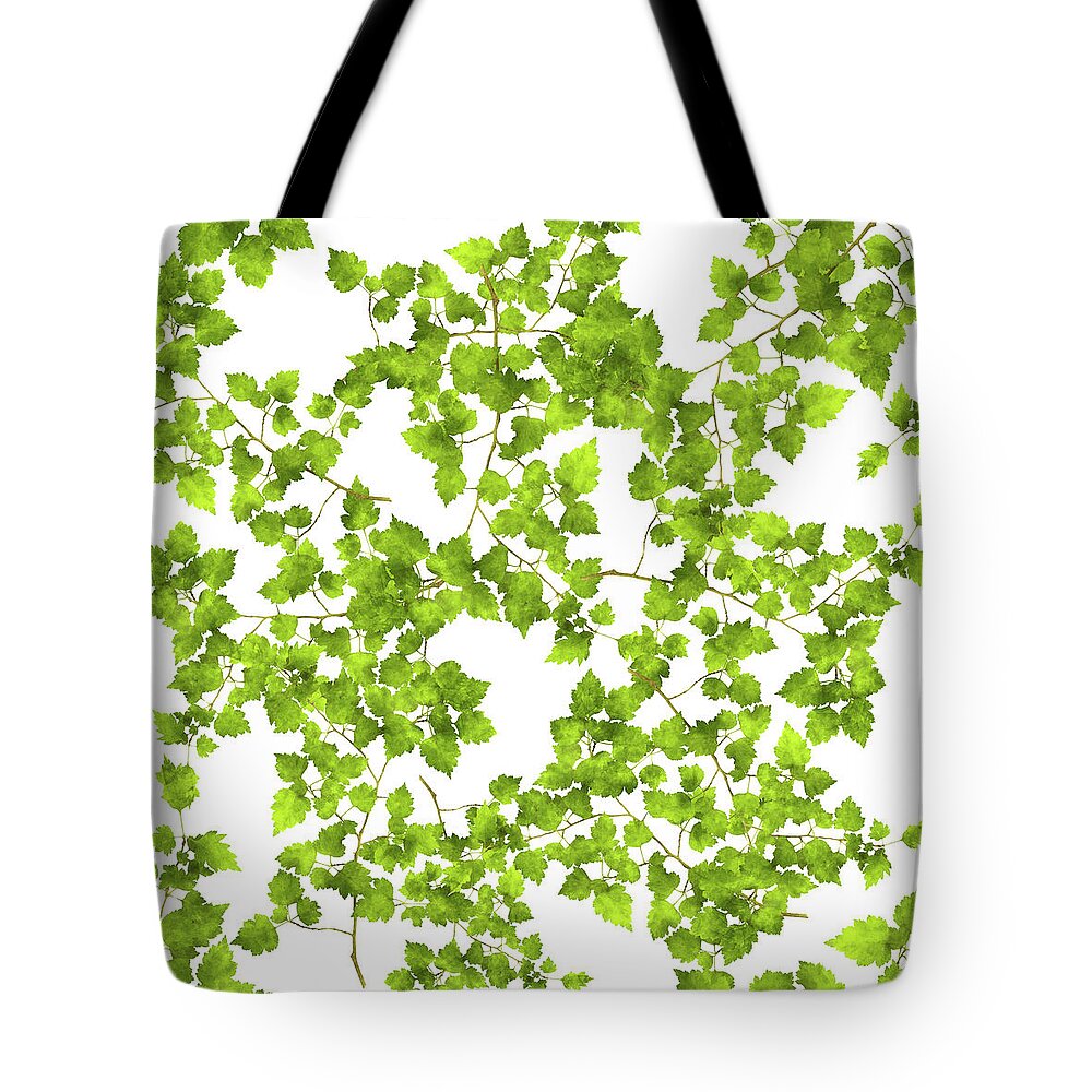 Leaves Tote Bag featuring the mixed media Hawthorn Pressed Leaf Art by Christina Rollo