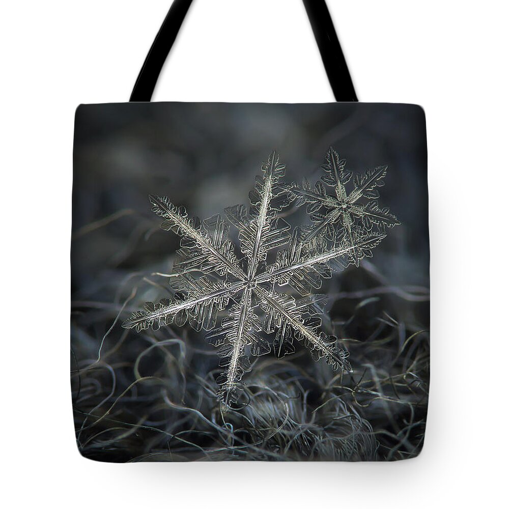 Snowflake Tote Bag featuring the photograph Stars in my pocket like grains of sand - grey version by Alexey Kljatov