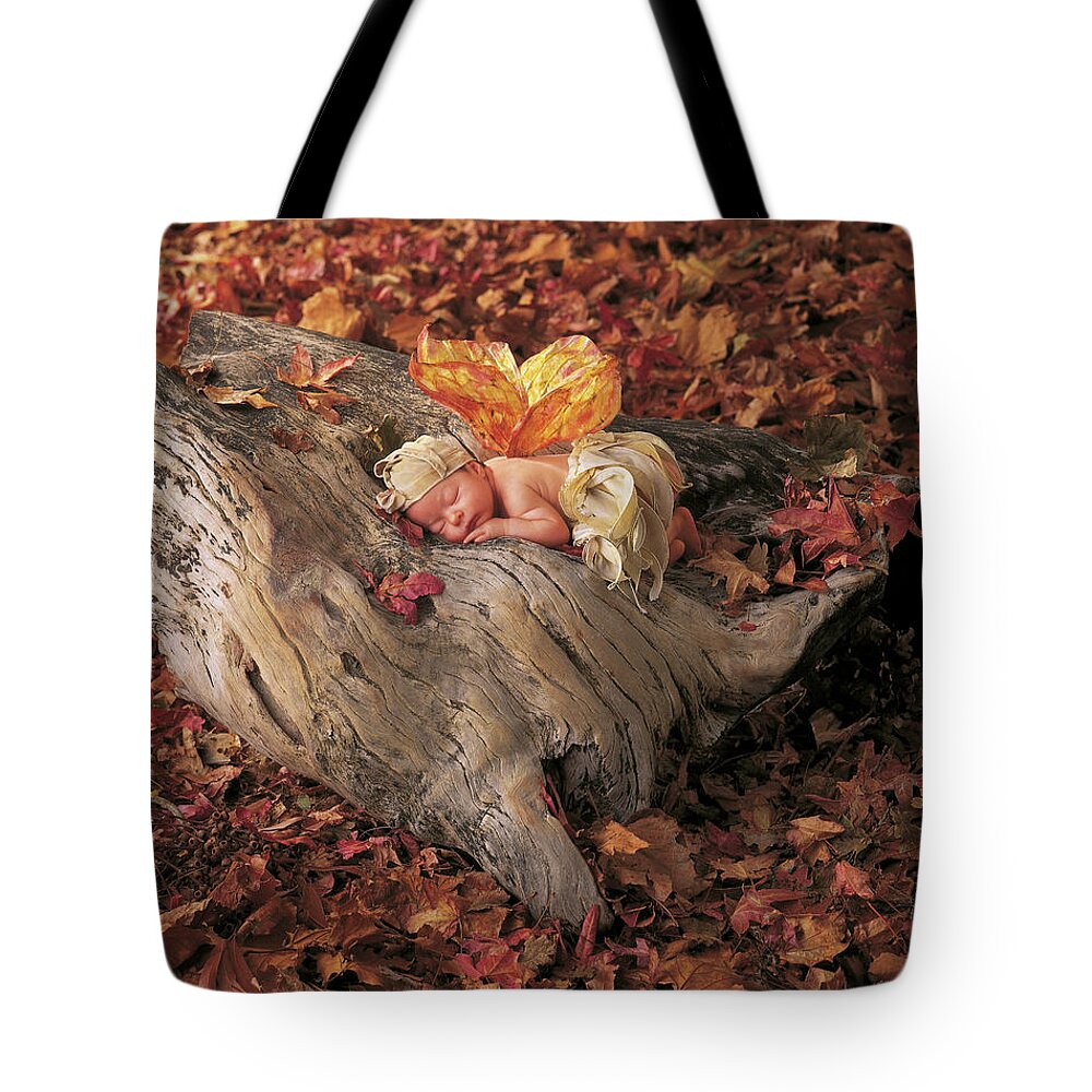 Fall Tote Bag featuring the photograph Woodland Fairy by Anne Geddes