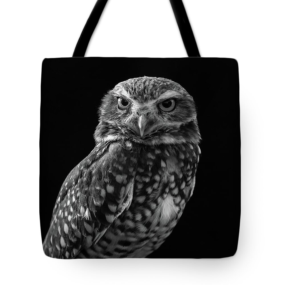 Burrowing Owl Tote Bag featuring the photograph Burrowing Owl by Chris Scroggins