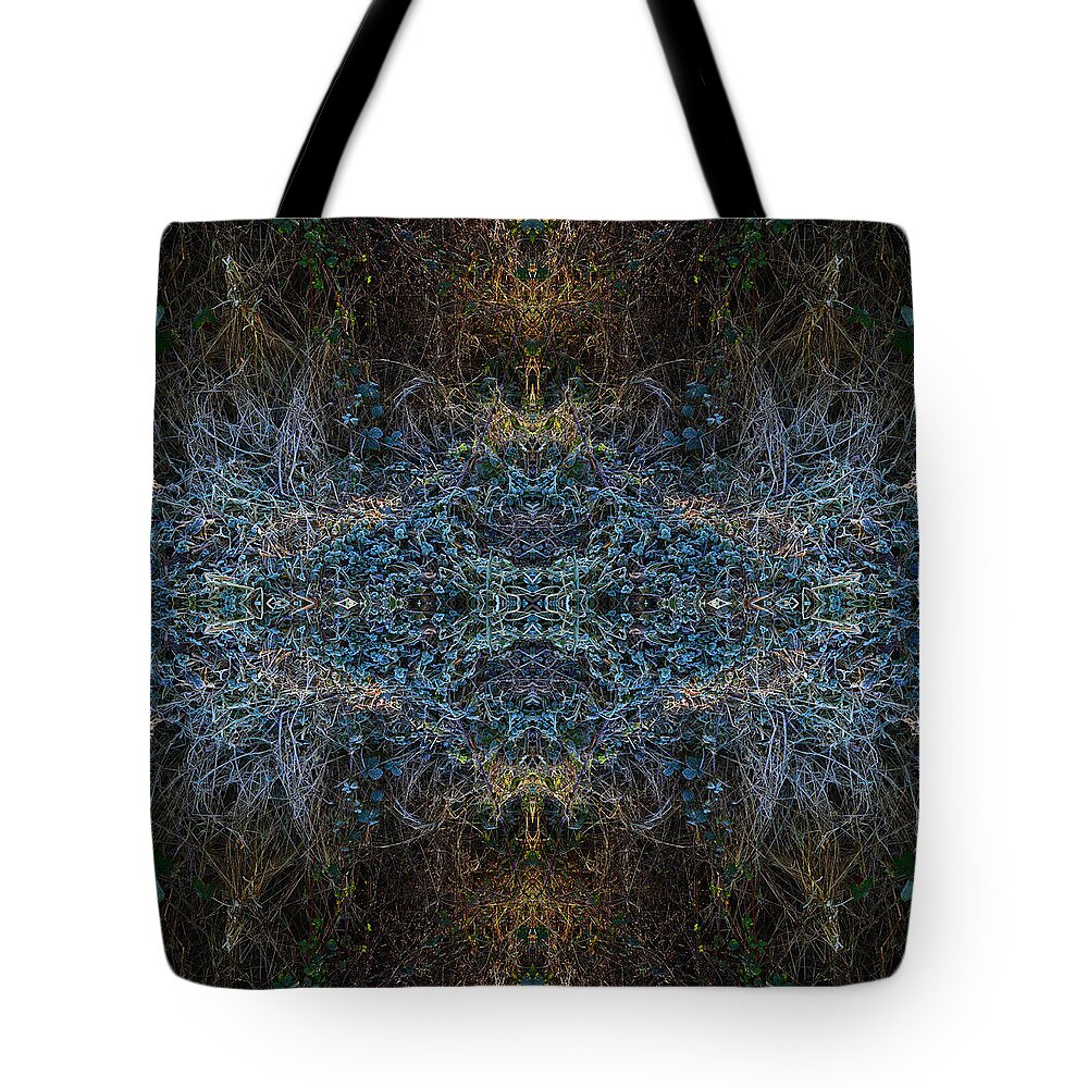 Dawn Frostings Tote Bag featuring the photograph Frostings 2 Reflected by Paul Davenport