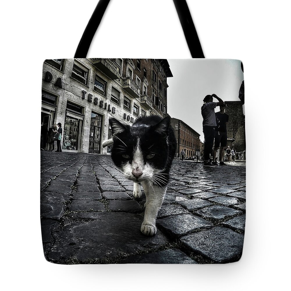Cat Tote Bag featuring the photograph Street Cat by Nicklas Gustafsson