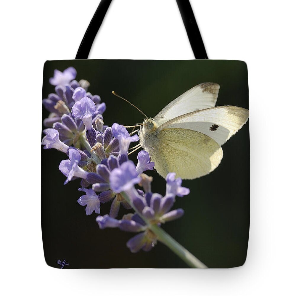 Insect Tote Bag featuring the photograph Spot by Arthur Fix